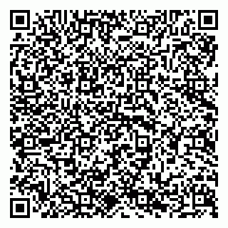 vCard 79294199084