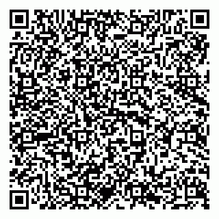 vCard 79294199102