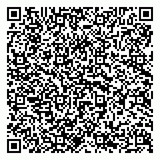 vCard 79294199121