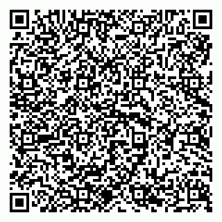 vCard 79294199189