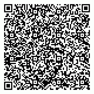 vCard 79294199811