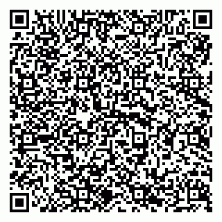 vCard 79294199831