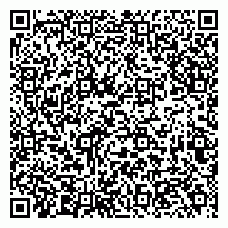 vCard 79294200177