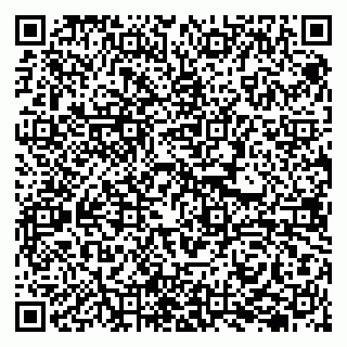 vCard 79294200211