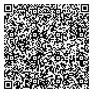 vCard 79294200213