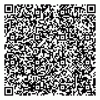vCard 79294200217