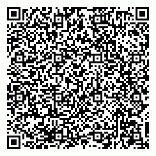 vCard 79294200230