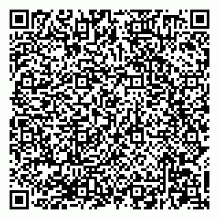 vCard 79294200260