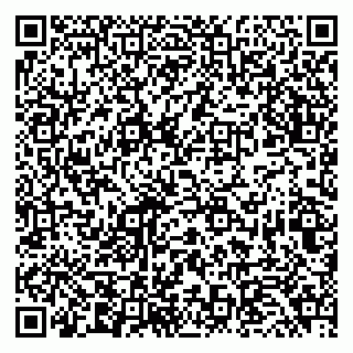 vCard 79294200280