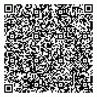 vCard 79294200301