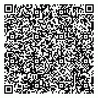 vCard 79294200311