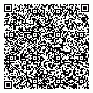 vCard 79294200312