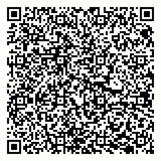 vCard 79294200313