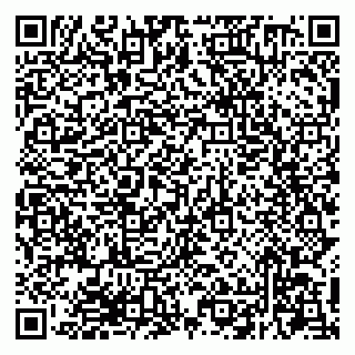 vCard 79294200314