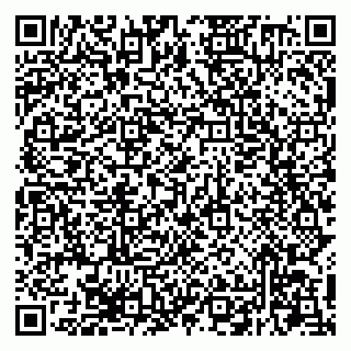 vCard 79294200315
