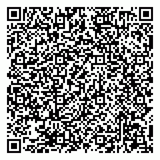 vCard 79294200317
