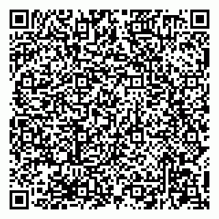 vCard 79294200318