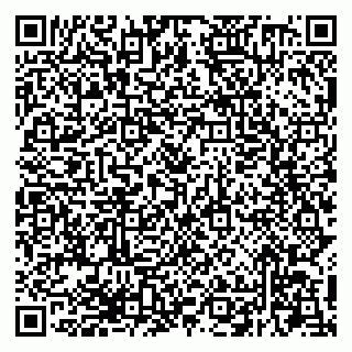 vCard 79294200319