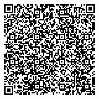 vCard 79294200321