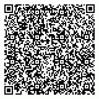 vCard 79294200322