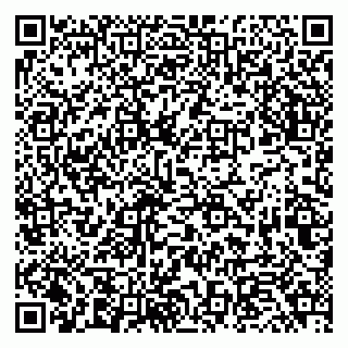 vCard 79294200329