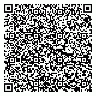 vCard 79294200331