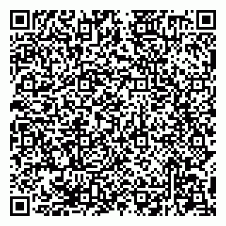 vCard 79294200399