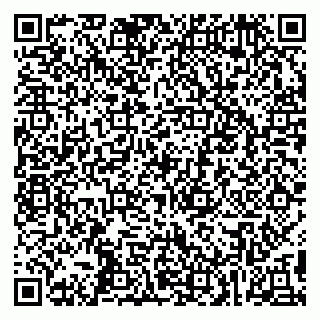 vCard 79295000039