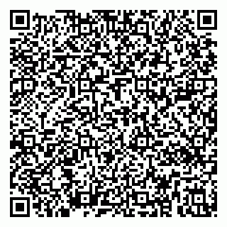 vCard 79295000399