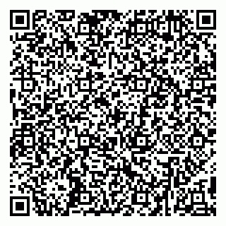 vCard 79295000539
