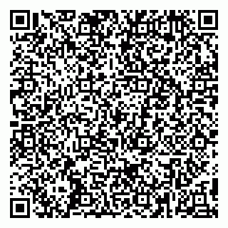 vCard 79295000739