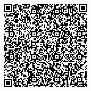 vCard 79295000939