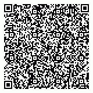 vCard 79295001039