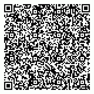 vCard 79295001339