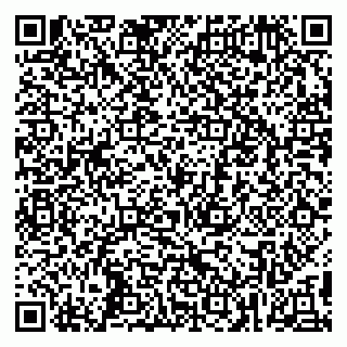 vCard 79295001539