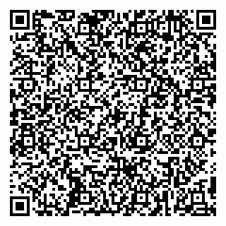vCard 79295001739