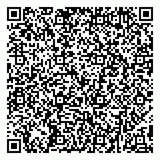 vCard 79295002039