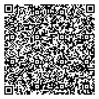 vCard 79295002539