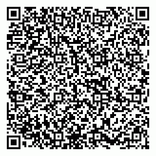 vCard 79295002739