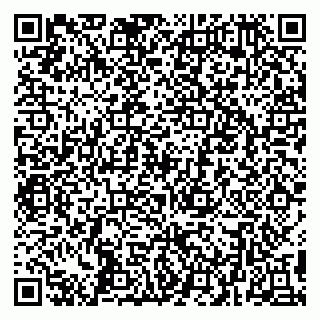 vCard 79295004100