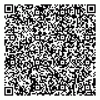 vCard 79295004331