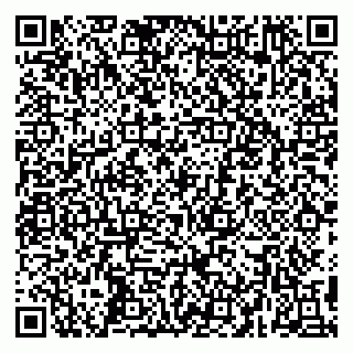 vCard 79295005312