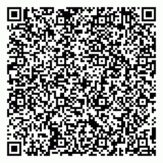 vCard 79295006281