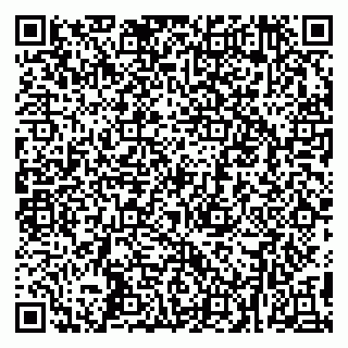vCard 79295006331