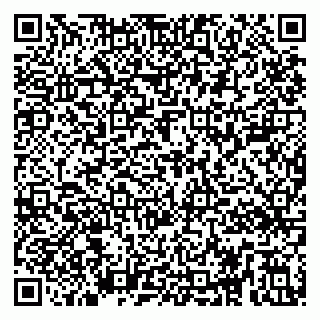 vCard 79295006402