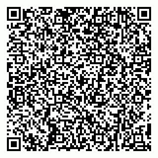 vCard 79295007331