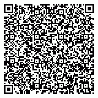 vCard 79295008331
