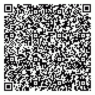 vCard 79295010002