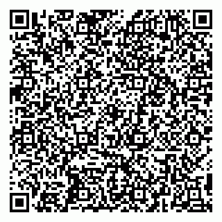 vCard 79295010004