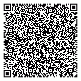 vCard 79295010029